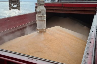 Usluge prijevoza u pomorskom prometu