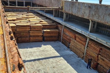 izvozno zastupanje robe